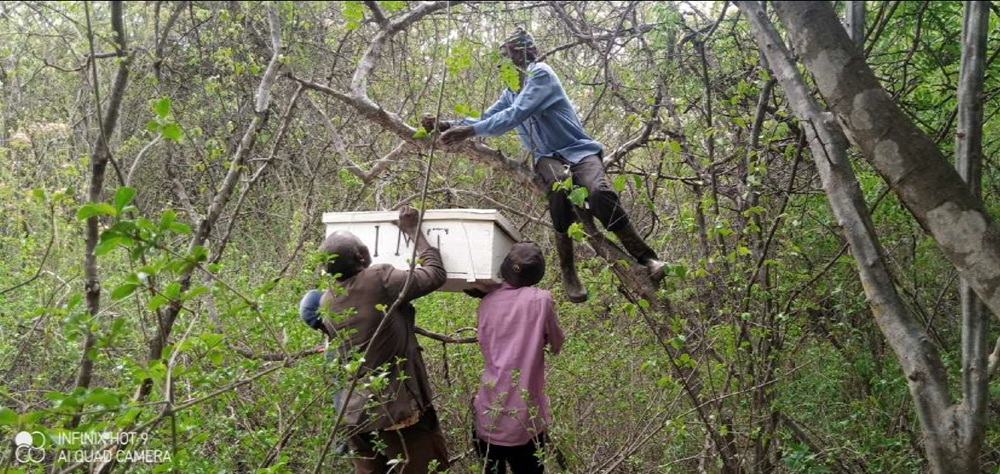 IMARIKA project in Iringa, Tanzania (February 2025 Down to Earth)