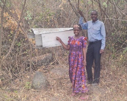 Kayenze beekeeping